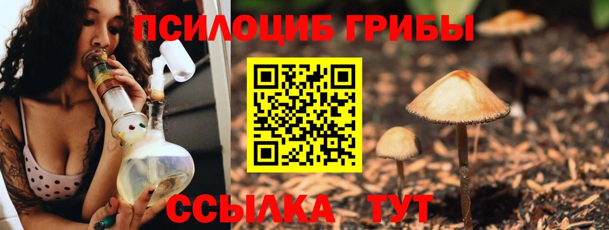 Галлюциногенные грибы мухоморы Зерноград