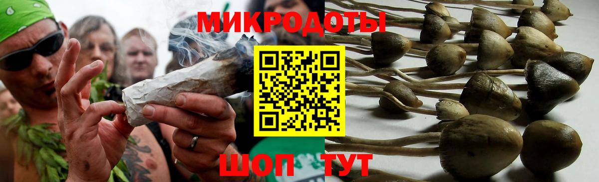 Псилоцибиновые грибы Magic Shrooms  Вход с VPN  Зерноград 